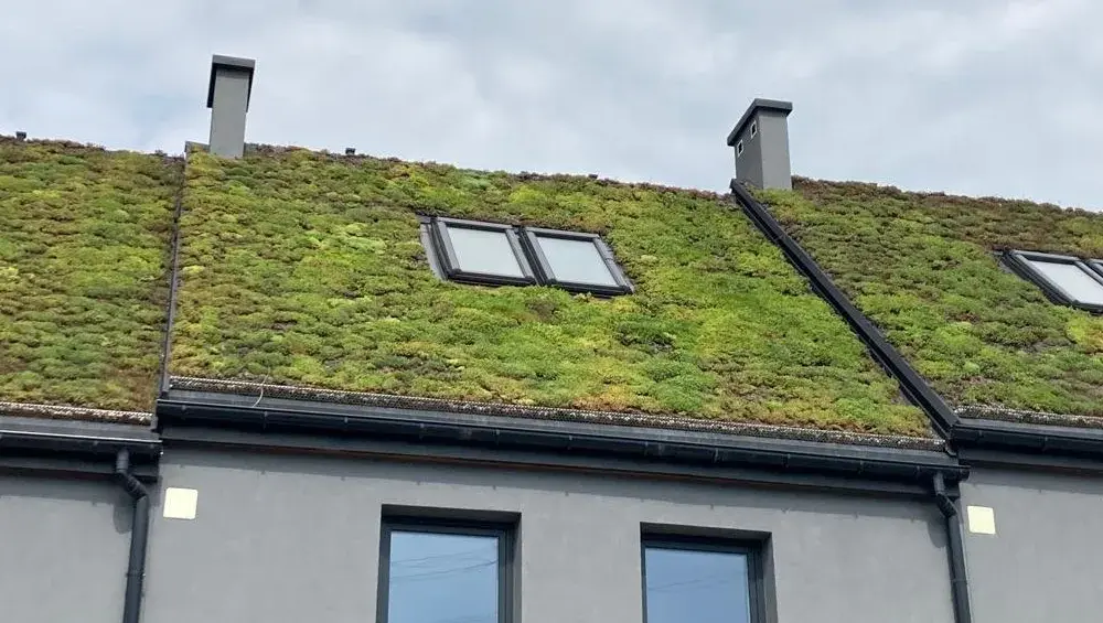 Zielone dachy: Nowoczesne rozwiązania w architekturze miejskiej