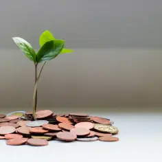 Czy bank zwraca odsetki przy wcześniejszej spłacie kredytu? Sprawdź to!