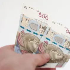 Dłoń trzyma polskie banknoty 500 złotych.